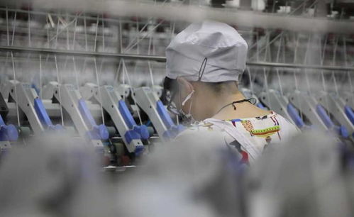 紡織業(yè)的演進與發(fā)展